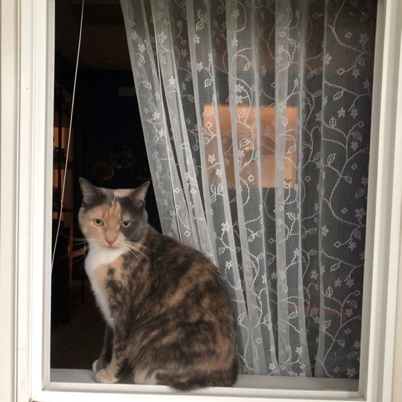 Meet your Posher, Hayley - Picture 12 of 12